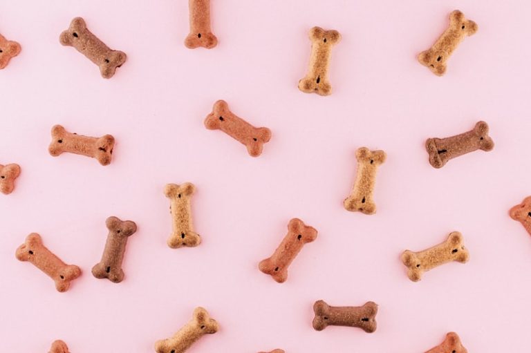 Why Is My Guinea Pig Making That Sound? A Complete Guide to Guinea Pig Noises and What They Mean